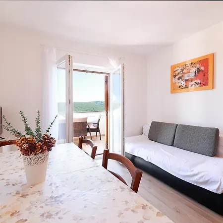 Apartment Omanovic Cizici